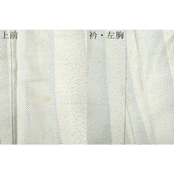 平和屋着物○本場大島紬 白大島 9マルキ よろけ縞 正絹 逸品