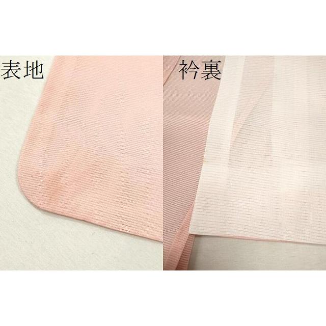 平和屋着物＊夏物 訪問着 絽 バラ 舞蝶文 金彩 洗える着物 CABB2082ze 