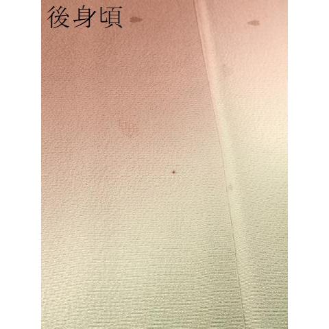 平和屋着物○世界的人形師 辻村寿三郎 ジュサブロー 色留袖 舞桜地紋
