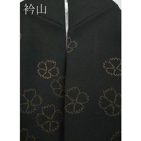 平和屋着物●訪問着　草花文　黒地　洗える着物　CABC2096ut