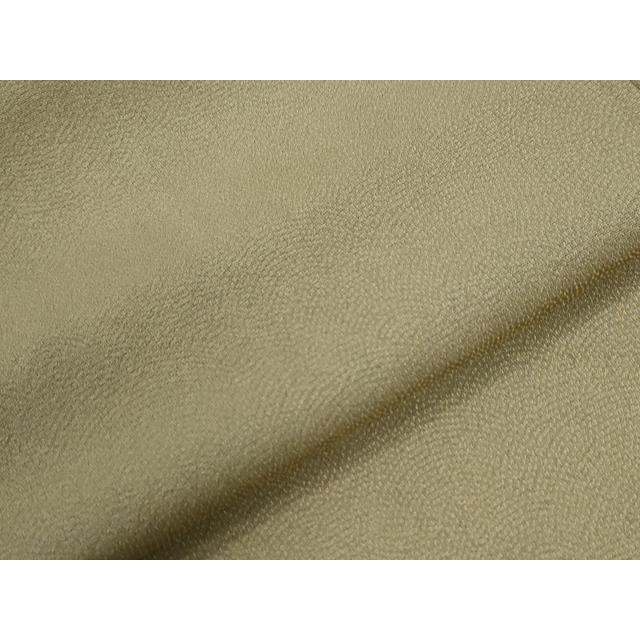 平和屋着物○本草木染作家 圓啓 江戸小紋 鮫小紋柄 正絹 逸品 未使用