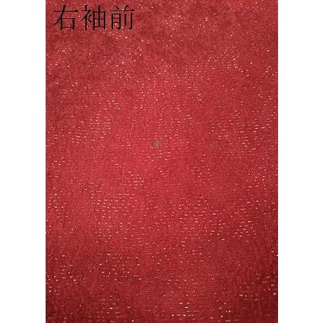 平和屋着物●豪華振袖　駒刺繍　舞桜文　暈し染め　金通し地　正絹　逸品　CABE7116ut