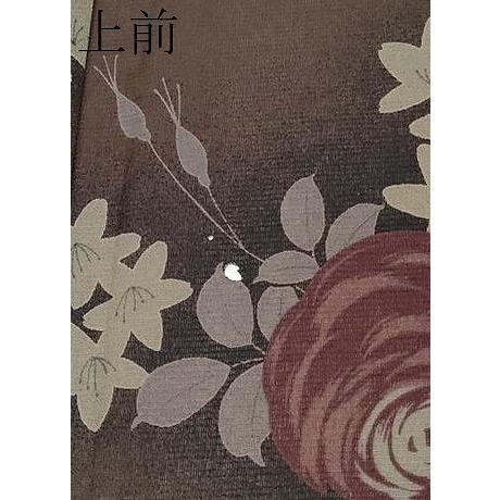 平和屋着物■極上　夏物　撫松庵　小紋・浴衣兼用　セオアルファ　枝花文　赤墨色地　洗える着物　逸品　CYAA3801s5