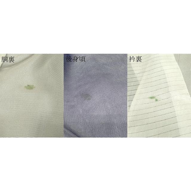 平和屋着物▽訪問着　無双　紗袷　紗×絽　草花文　正絹　逸品　DAAW9172sf