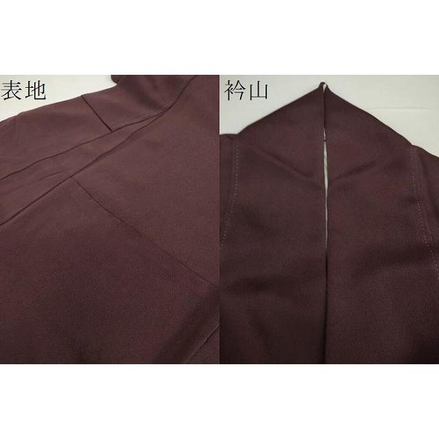 平和屋着物○訪問着 舞桜 シルエット 金彩 ロング丈 正絹 逸品 DAAX4667ps