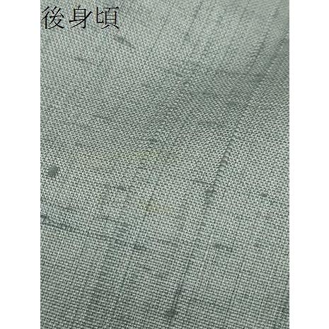 平和屋着物●訪問着　作家物　生紬　手描き　草花文　金彩　正絹　逸品　DABC2205ud