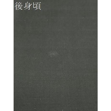 平和屋着物○本場大島紬 古代染色純泥染 9マルキ 地空き 箔散らし草花