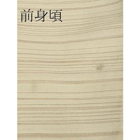 平和屋着物□極上 夏物 本加賀友禅作家 談義所栄二監修 変わり絽