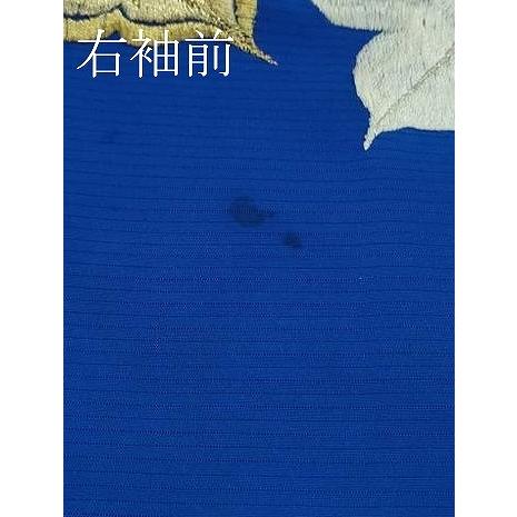 平和屋本店■極上　夏物　アンティーク　大正ロマン　振袖　絽　手刺繍　草花文　金銀糸　逸品　DZAA8931kh5 平和屋本店□極上 夏物 お引きずり・お引き摺り・引き振袖 絽 駒刺繍