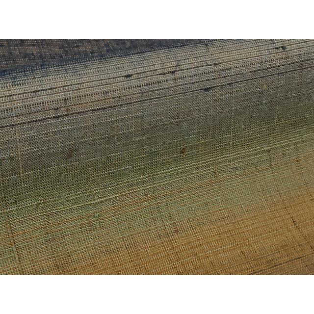 平和屋本店●極上　郡上紬　草木染　横段文　反端付き　逸品　DZAB2418kh6_7