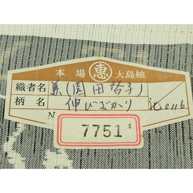 平和屋本店○極上 本場大島紬 白恵泥 恵大島織物 二代目・恵美知雄謹製
