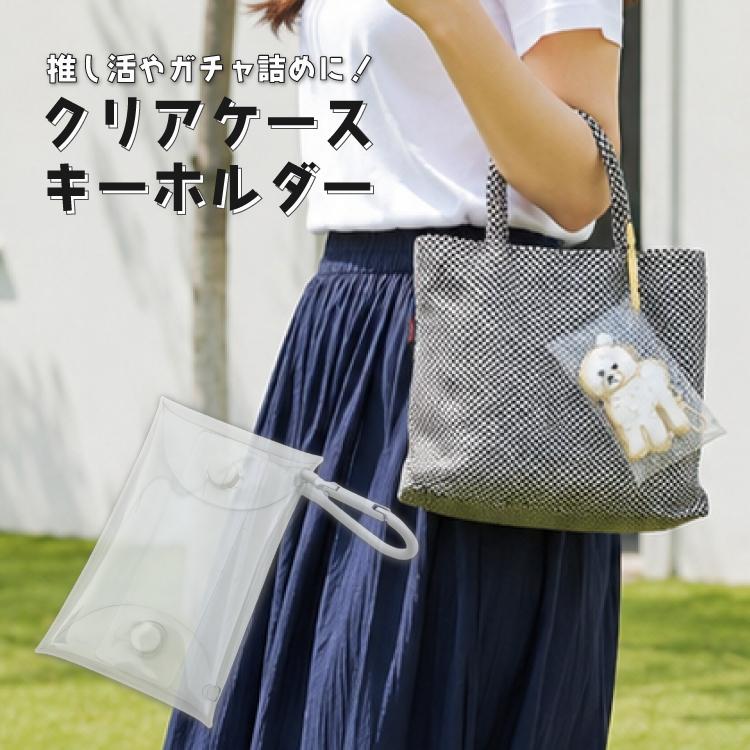 キーホルダー クリアケース 12×7×2cm カラビナ付き スナップボタン