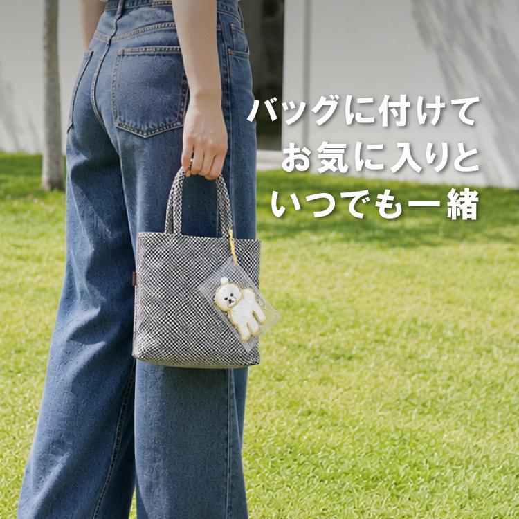 キーホルダー クリアケース 12×7×2cm カラビナ付き スナップボタン