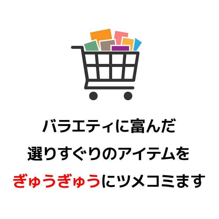 予約 半期決算福袋 2026年 お楽しみ袋 中身おまかせ 数量限定 特別価格