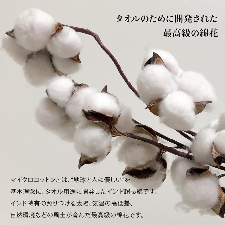 爆買 数量限定 タオル マイクロコットンDXセット レギュラー バス