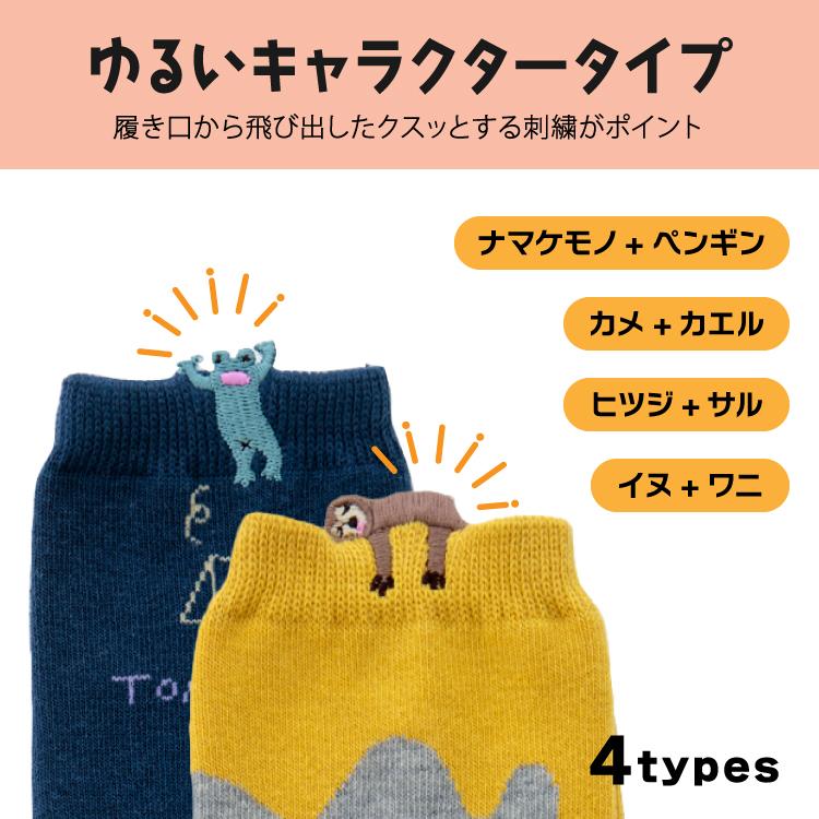 くつした ショート丈 2足セット / くせ強2Pソックス 全10種 約22 くつした ショート丈 2足セット / くせ強2Pソックス 全10種 約22