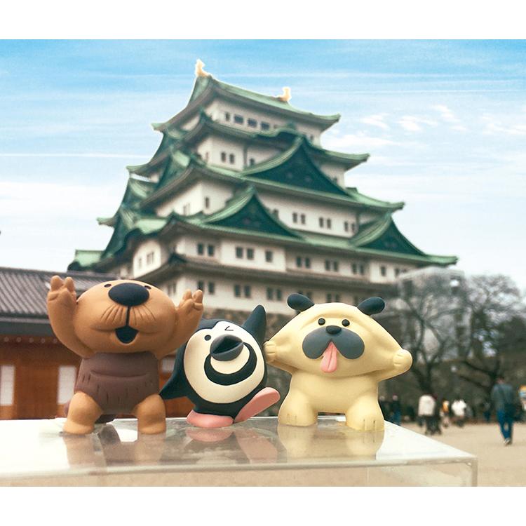 けこけこ Caudata セット(バラ売り不可) けこけこ Caudata セット(バラ売り不可) けこけこ Caudata セット(バラ