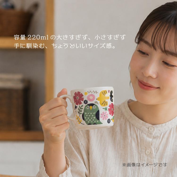 DECOLE（デコレ） 爆買 マグ fikalycka マグ 全3種 箱入り 植物 日本製