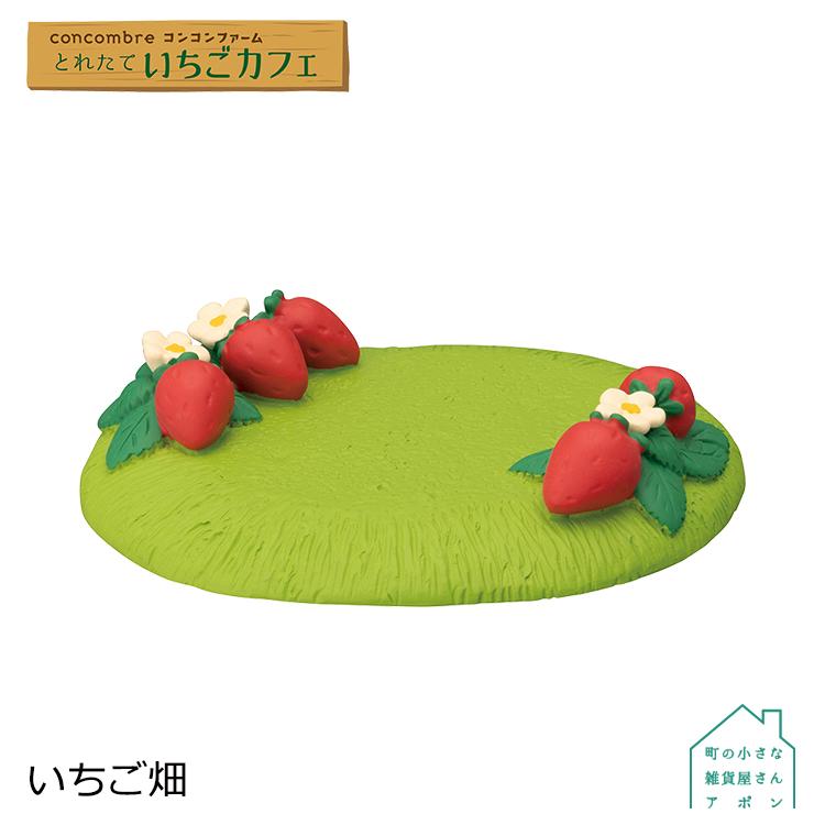 DECOLE（デコレ） 爆買 コンコンブル いちご畑 2023 とれたていちご