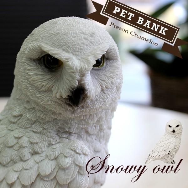 貯金箱 ペットバンク Snowy シロフクロウ 新作からsaleアイテム等お得な商品満載 スノーウィオウル Owl