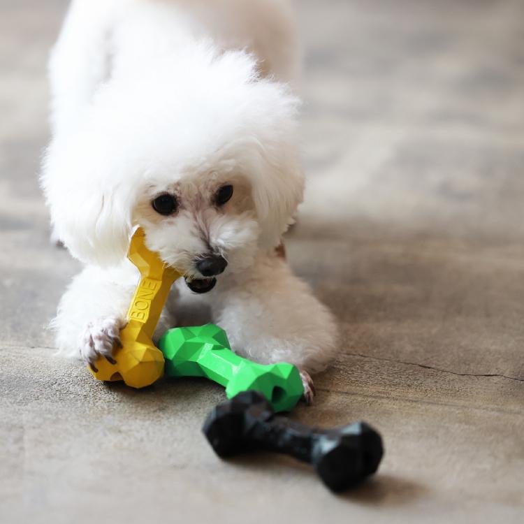 爆買 犬 おもちゃ LUCA ウェルカム カムカム BONE 全3色 ポリゴン 噛み