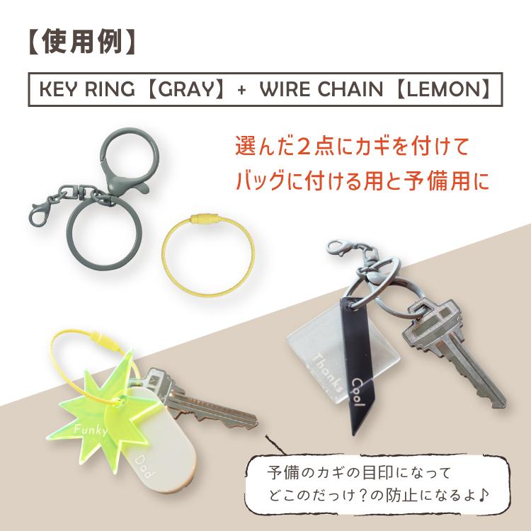 magnet 爆買 キーホルダー 2種セット from to WIRE CHAIN 全9色×KEY