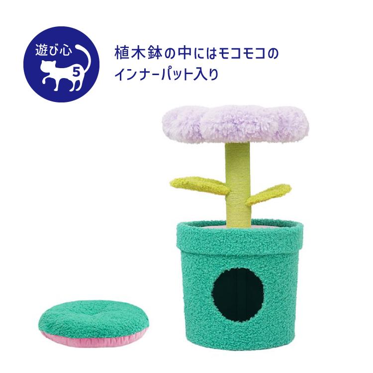 猫ハウス キャットタワー 爪とぎ zeze POT PET HOUSE PURPLE 花