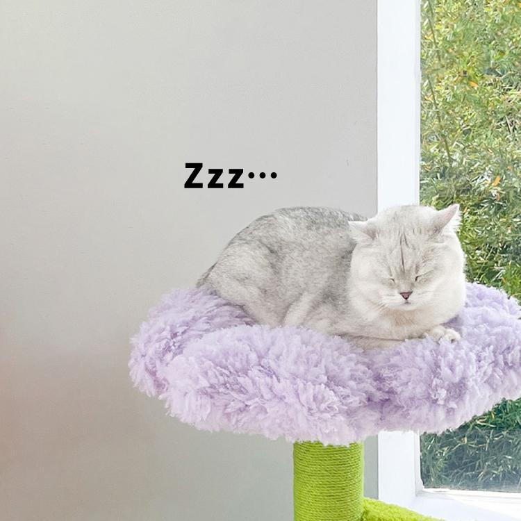 猫ハウス キャットタワー 爪とぎ zeze POT PET HOUSE PURPLE 花