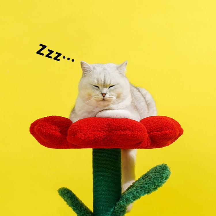 爆買 猫ハウス キャットタワー 爪とぎ zeze POT PET HOUSE RED 花