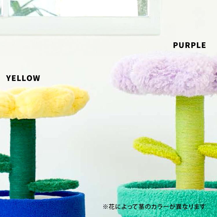 猫ハウス キャットタワー 爪とぎ / zeze POT PET HOUSE RED 花