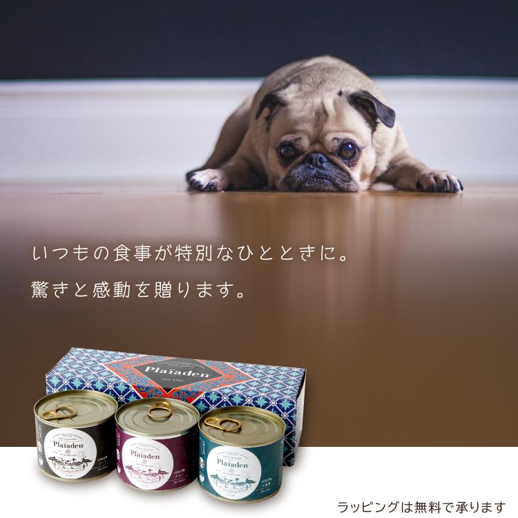 プレイアーデン ペット用ギフト ドッグフード ウェットタイプ