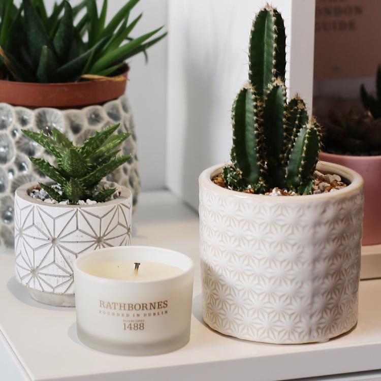 アロマキャンドル / ラスボーンズ / クラシックキャンドル / ワイルド