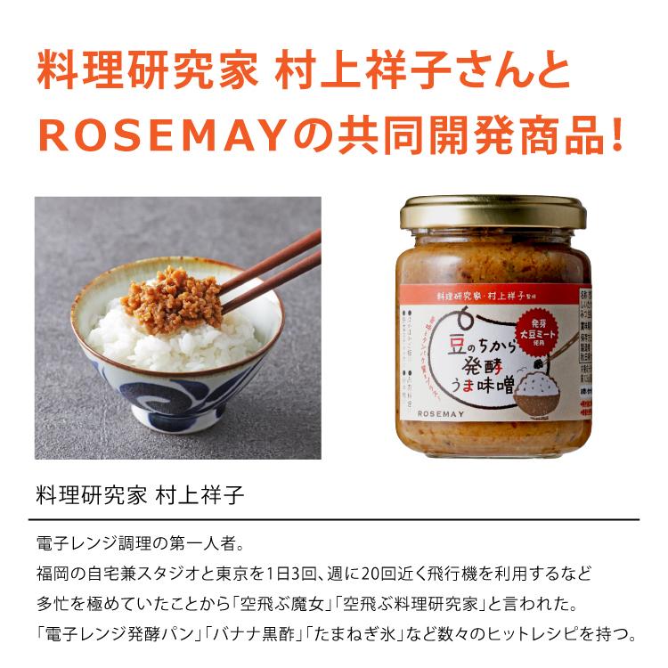 ご飯のお供 | 豆のちから 発酵うま味噌 140g 秋田県産 おかず味噌 ご飯