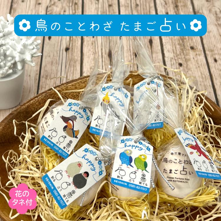 占い みくじ 鳥のことわざ たまご占い 花のタネ付 栽培 花 ことわざ 卵 占い 育てる プチギフト 聖新陶芸 Sei Eg59 町の小さな雑貨屋さんアポン Apoml 通販 Yahoo ショッピング