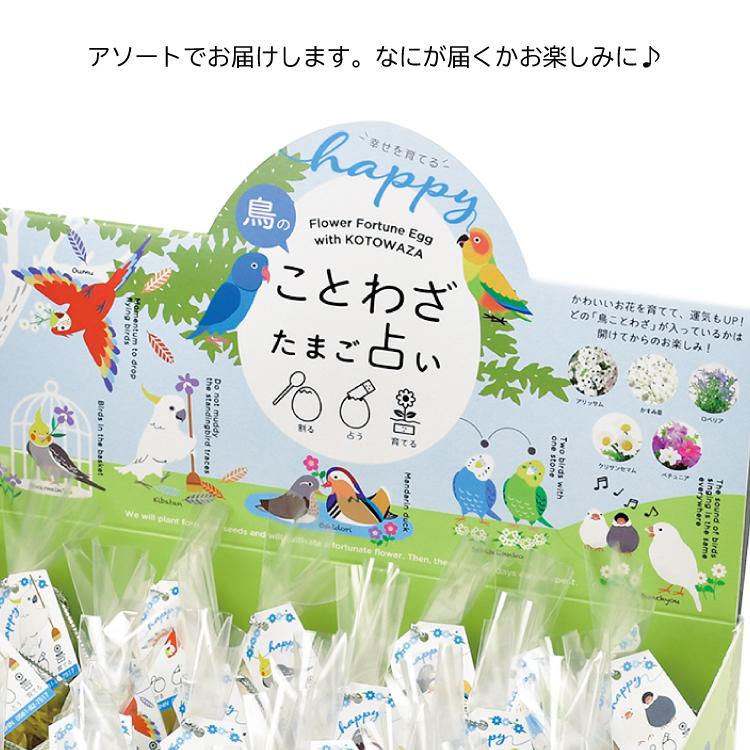 占い みくじ 鳥のことわざ たまご占い 花のタネ付 栽培 花 ことわざ 卵 占い 育てる プチギフト 聖新陶芸 Sei Eg59 町の小さな雑貨屋さんアポン Apoml 通販 Yahoo ショッピング