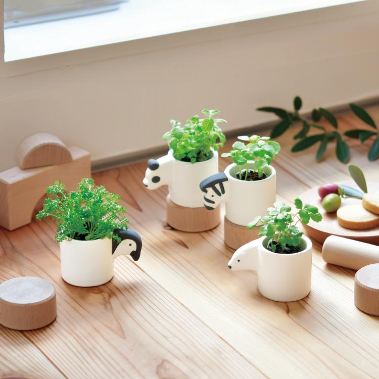 栽培キット ハーブ / モノクロアニマル 全4種 聖新陶芸 アニマルポット