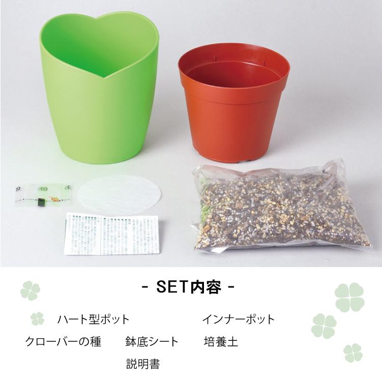 栽培キット きっとみつかる 四つ葉のクローバー栽培セット トラスト 聖新陶芸 ガーデニングキット
