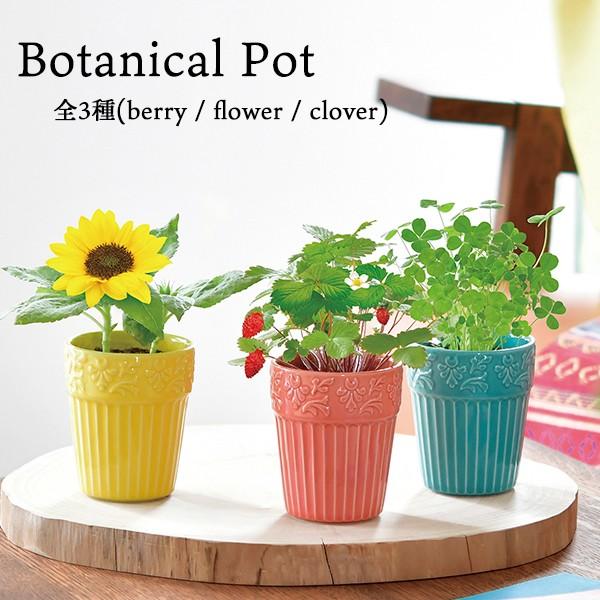 【25％OFF】 購買 植物 栽培 栽培セット 栽培キット 家庭菜園 ボタニカルポット 全3種 聖新陶芸 crayonwriter.com crayonwriter.com