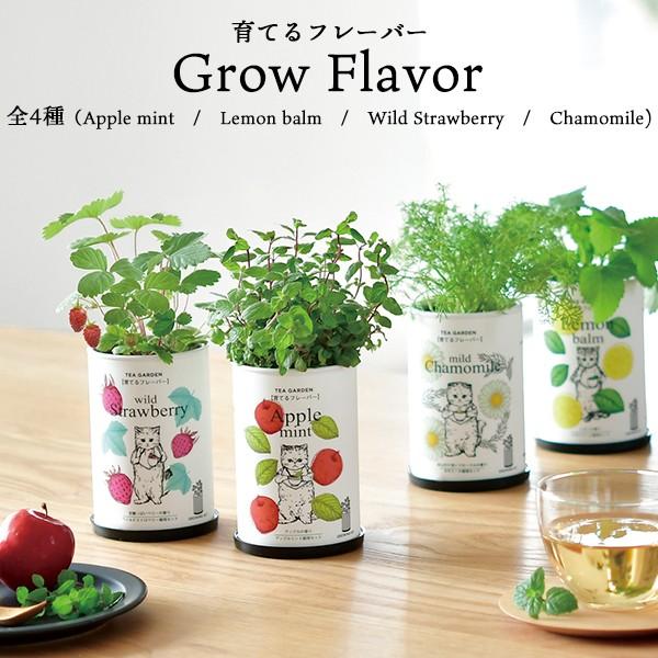 宅配便配送 栽培セット 栽培キット ハーブ 家庭菜園 育てるフレーバー 全4種 聖新陶芸 Neotextreview Com