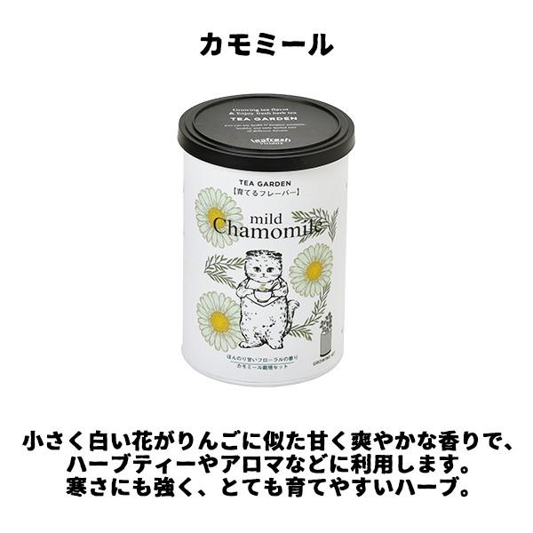 栽培セット 栽培キット ハーブ 家庭菜園 育てるフレーバー 全4種 聖新陶芸 Sei Gd905 町の小さな雑貨屋さんアポン Apoml 通販 Yahoo ショッピング