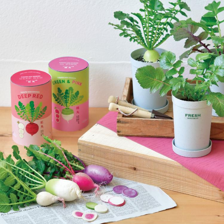 栽培セット 野菜 / カラフルミニ大根 全4種 家庭菜園 ガーデニング お