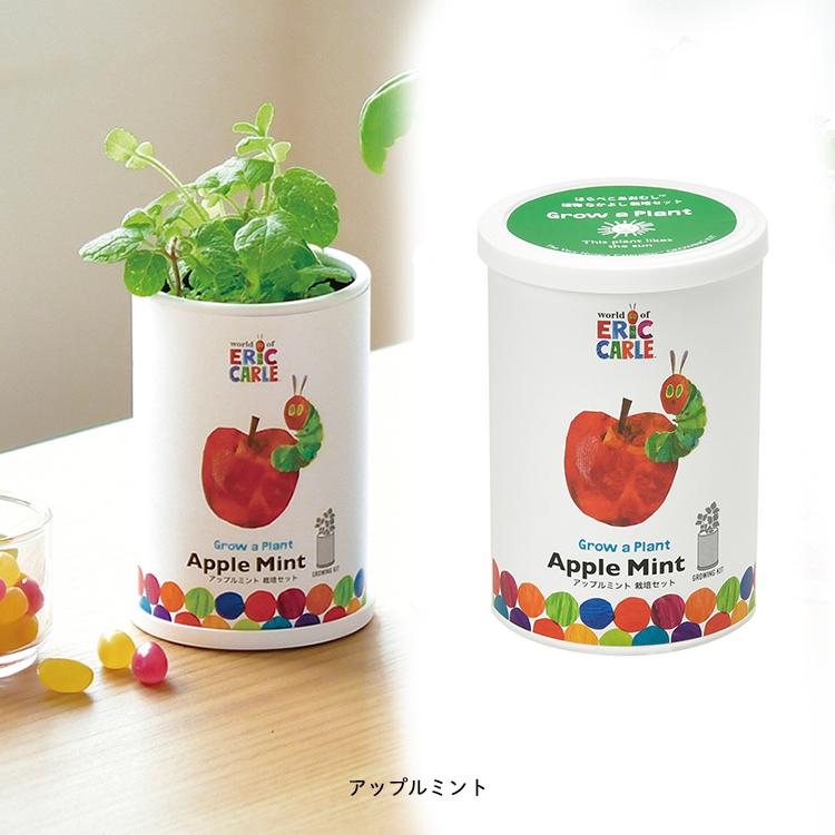 iON!花丸ぺこ　ソロチェキ14枚セット「バラ売り可」 まとめ買いお安くします 爆買 栽培キット はらぺこあおむし なかよし栽培セット 全4種 栽培