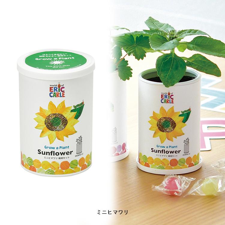 栽培キット はらぺこあおむし なかよし栽培セット 全4種 ［ 栽培セット