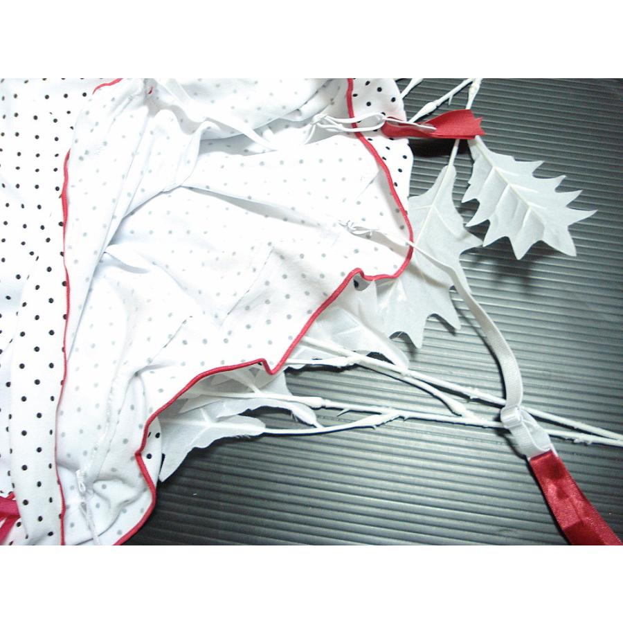 売り切れ インポート ランジェリー ワンピース Tバックショーツ セット ドット柄  /wob011 |  | 10