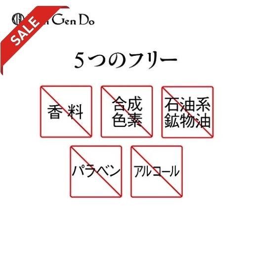 コウゲンドウ Koh Gen Do 江原道 オールインワンモイスチャージェルリッチ 100g Wss 41gfmpgjeico Hello World 通販 Yahoo ショッピング