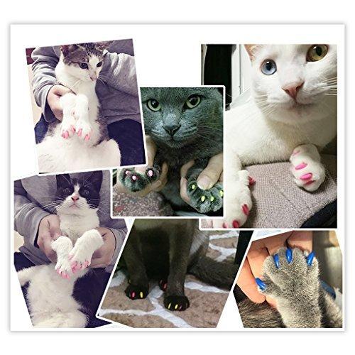 160個ペットネイルキャップ 猫の爪を飾るコントロールソフトキャップ 9種カラー色キットネイルキャップ 7種フラッシュ色 8つバインダー 8つアプリケ X07bfpg5zn Hello World 通販 Yahoo ショッピング
