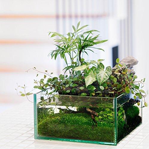 アクアテリア N190 メダカ用 ガラス水槽と水耕栽培プランター 水槽おそうじ手袋セット X07gjhd387 Hello World 通販 Yahoo ショッピング