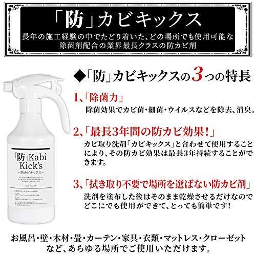 防カビ剤 植物性除菌剤 防カビキックス あらゆる箇所 ボタニカルスプレー 450g業界最長の防カビ剤 X07y28yjlp Hello World 通販 Yahoo ショッピング