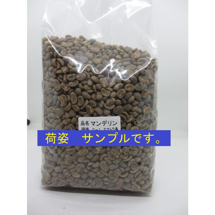 コーヒー生豆 キリマンジャロAA 1kg、2kg、5kgからお選び