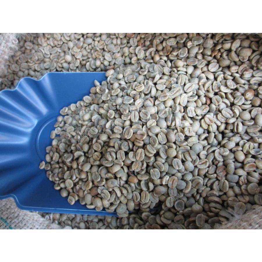 コーヒー生豆 麻袋詰め ブラジル サントスNo.2 17/18 10kg コーヒー生豆 麻袋詰め ブラジル サントスNo.2 17/18 10kg